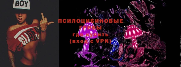 скорость Алексин