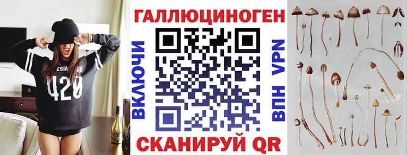 mega рабочий сайт  Камышин  Псилоцибиновые грибы мухоморы 