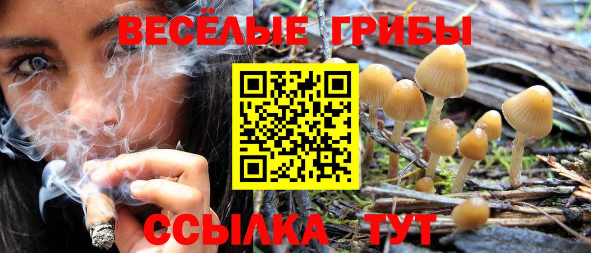 закладки  Галлюциногенные грибы мицелий  Вход с VPN  Камышин 