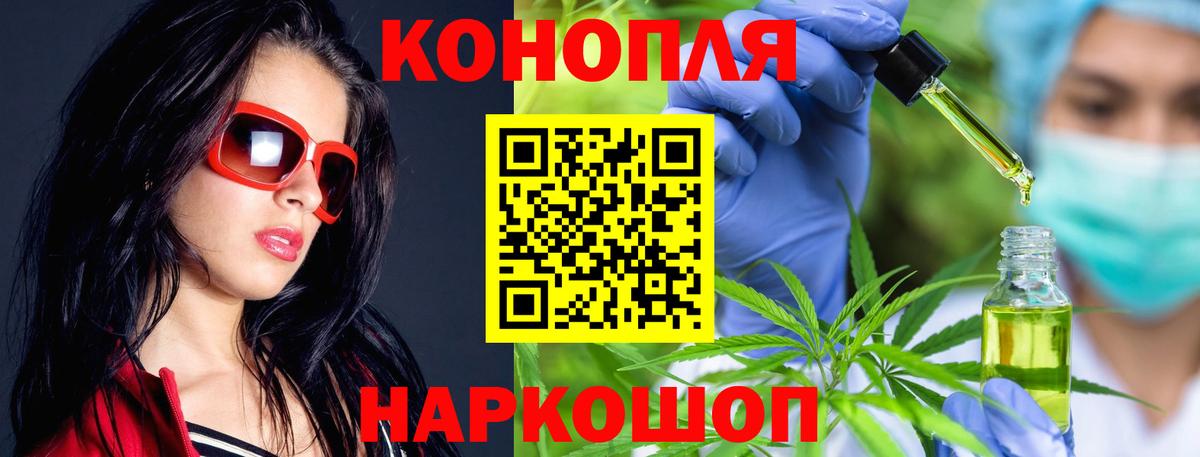 Бошки марихуана семена  Вход с VPN  Марихуана White Widow  Камышин  Конопля сатива 